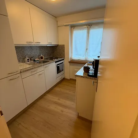 Swiss Apartment *
